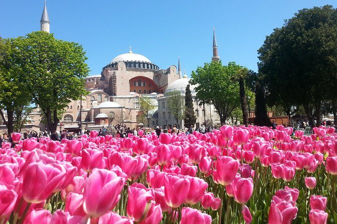 Istanbul Private Tours: 1, 2 or 3 Day Highlights - The Bottom Line: Who Is This Tour For?