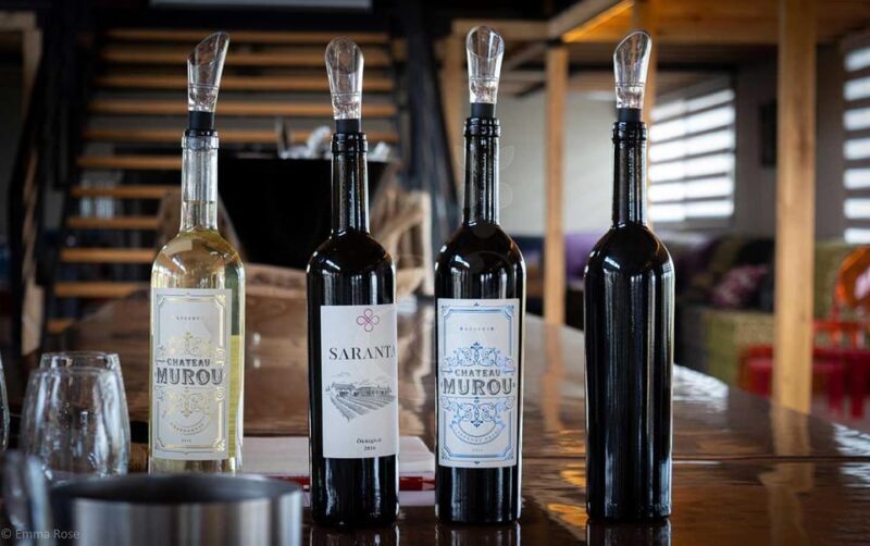 Istanbul: Private Wine Tasting Day Trip to Tekirdag - Exploring the Tekirdag Wine Region