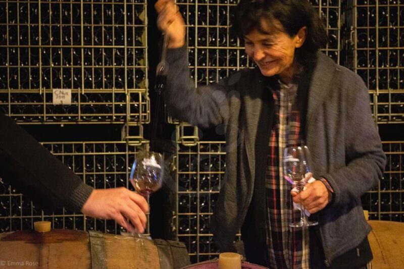 Istanbul: Private Wine Tasting Day Trip to Tekirdag - The Experience of the Drive and Logistics