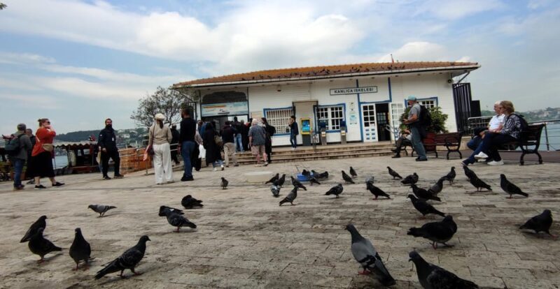 Istanbul Revealed: Historic Pathways and Bosphorus Serenity - Final Thoughts