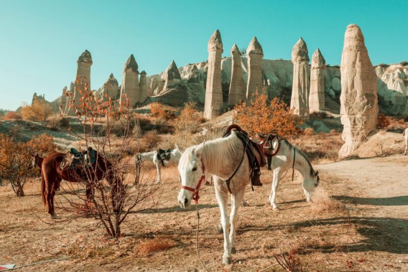 Istanbul to Cappadocia All Inclusive Private Day Tour - The Tour Experience: What It’s Like from Start to Finish
