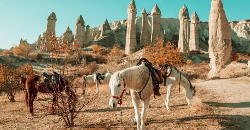 Istanbul to Cappadocia All Inclusive Private Day Tour - Who Is This Tour Best For?