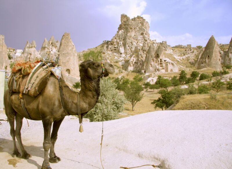 Istanbul to Cappadocia All Inclusive Private Day Tour - FAQ