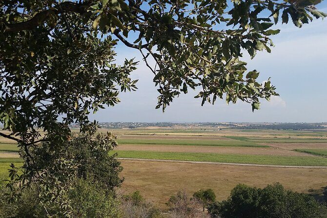 Istanbul to Truva Troy Guided Day Tour with Lunch and Transfers - Who Should Consider This Tour?