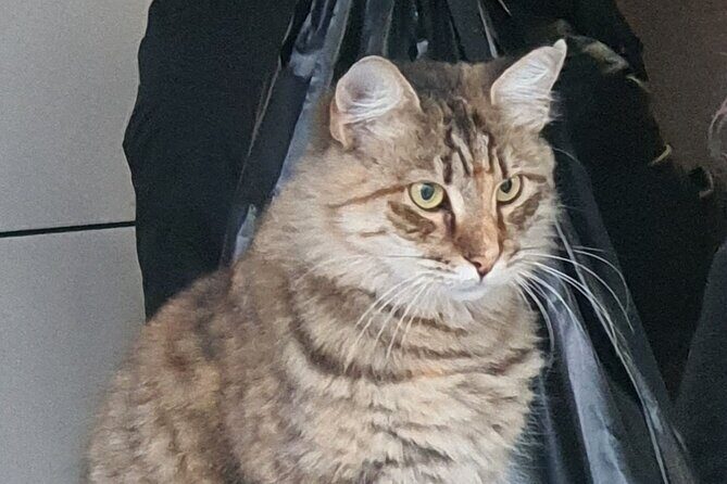 Istanbul Tour with Local Expert - A Closer Look at the Tour Experience