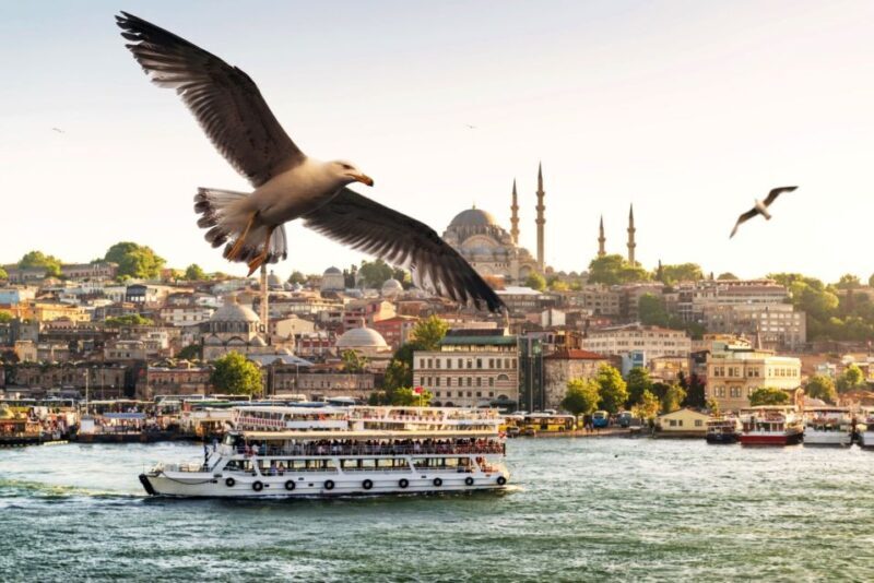 Istanbul: True Discovery Full-Day Tour and Cruise - Honest Tips and Considerations