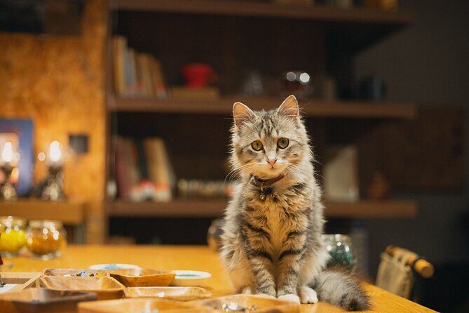 Istanbul Turkish Mosaic Lamp Workshop in Old Town - Who Is This Experience Best For?