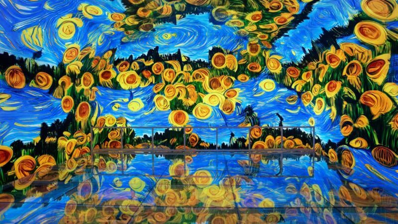 Istanbul: Van Gogh Digital Experience Museum Entry Ticket - Pricing and Value
