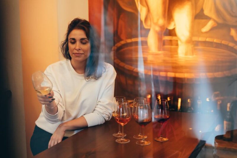 Istanbul: Wineries Tour with a Private Sommelier - Key Points