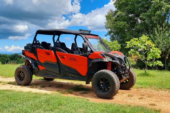 Istra Buggy Family Safari - Key Points