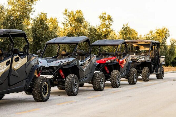 Istra Buggy Tour with a Local Guide - The Experience Itself: What Youll Get