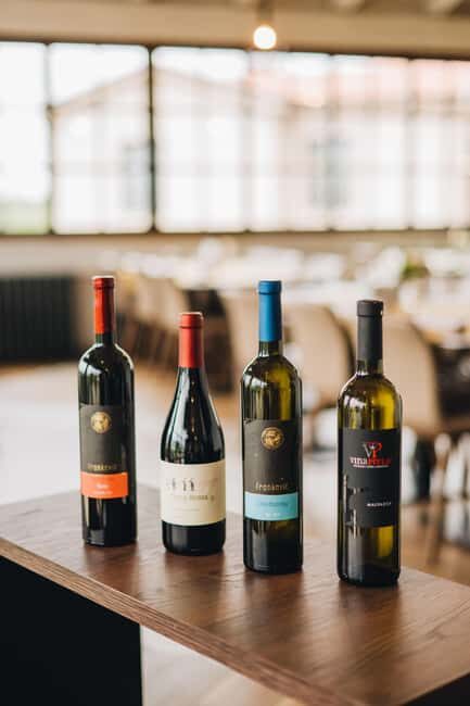 Istria County: San Servolo Wine Tasting Experience - The Guide and the Education