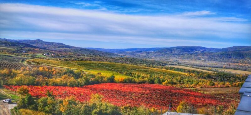 Istria Day Tour from Zagreb - A Closer Look at the Istria Day Tour