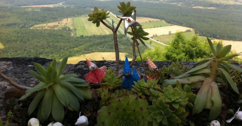 Istria: Guided Tour of Inner Istria with Food Tasting - The Itinerary in Detail