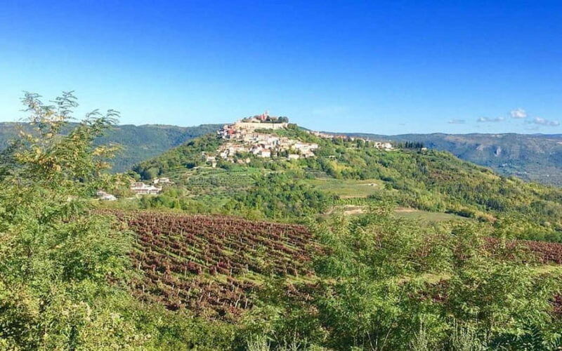 Istria: Guided Tour of Inner Istria with Food Tasting - FAQ