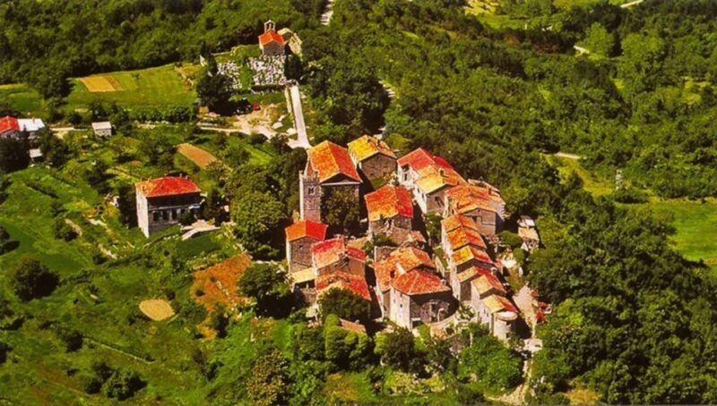 Istria Highlights Tour from Rijeka or Pula - Key Points