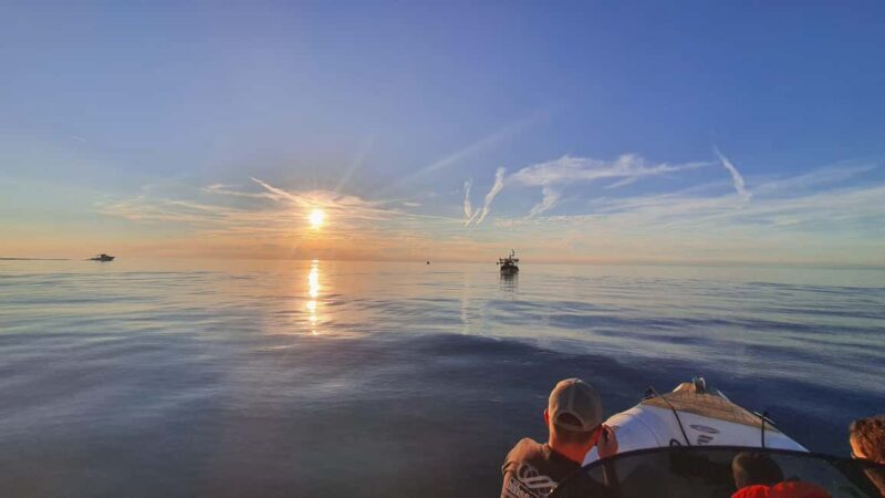 Istria: Private Boat Rental with Skipper - Who Should Consider This Experience?