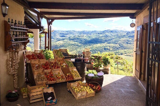 Istria Private Day Trip - What to Expect from the Istria Private Day Trip