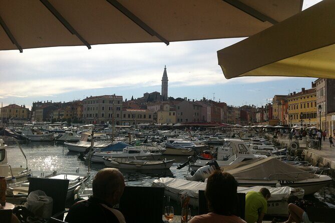 Istria Private Day Trip - Who Will Love This Tour?