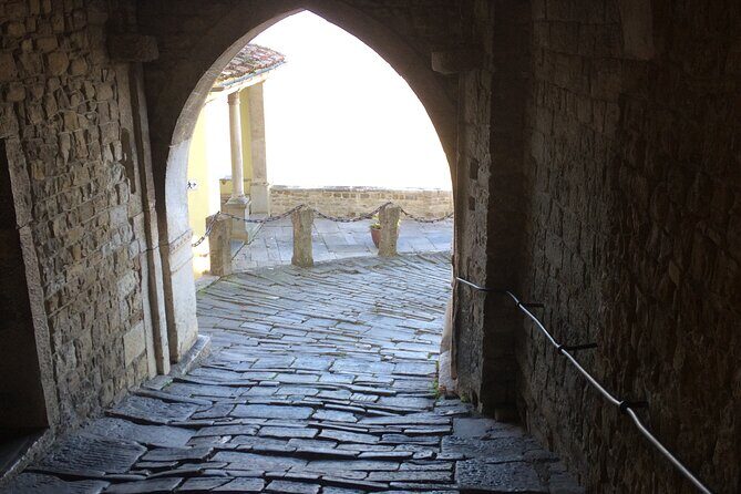 Istria Private Day Trip - Final Thoughts