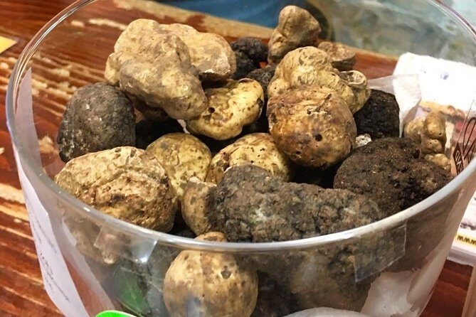 Istrian hill top cities tour with truffle and olive oil tasting - Key Points