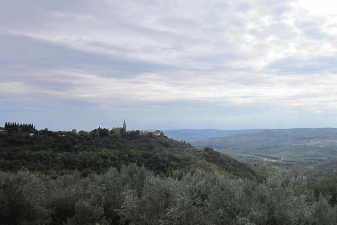 Istrian hill top cities tour with truffle and olive oil tasting - What’s Included and What’s Not