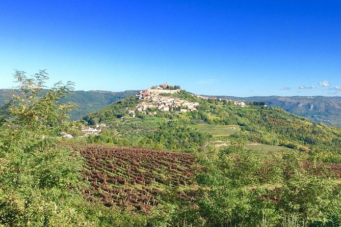 Istrian hill top cities tour with truffle and olive oil tasting - Group Size, Timing, and Practicalities