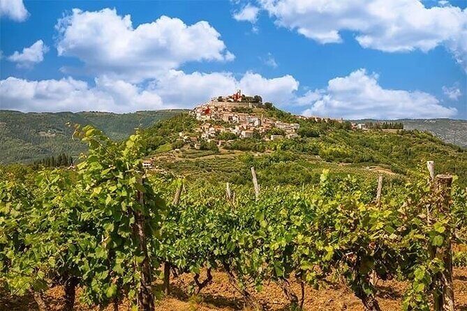 Istrian Inland: Motovun and Gronjan half day tour (From Rovinj) - An in-Depth Look at the Tour Experience