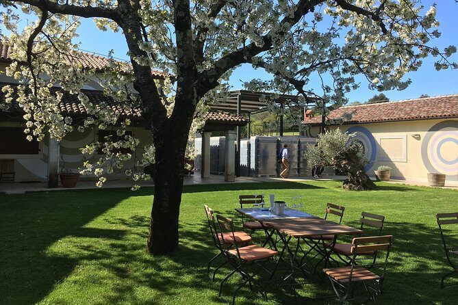 Istrian tapestry - gourmet tour combining wine, truffles and olive oil - Key Points