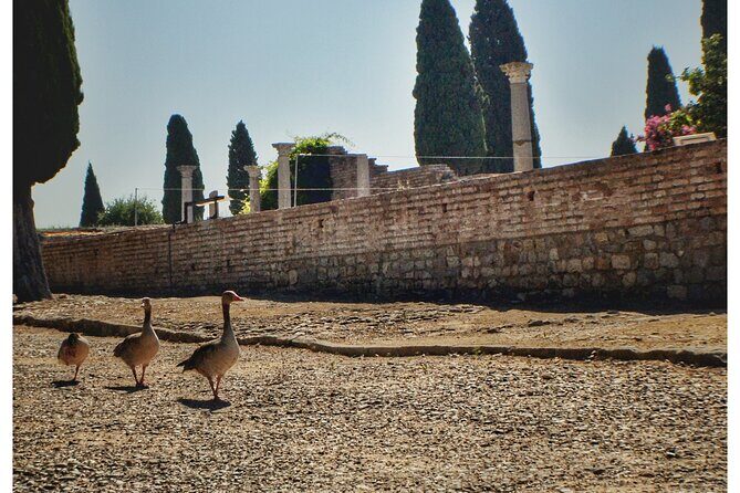 Italica 2-Hour Private Guided Tour - Who Should Book This Tour?