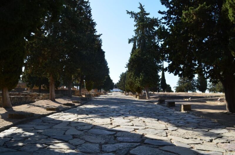Italica, city of emperors - Who Is This Tour Best For?