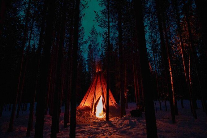 Ivalo: Aurora Hunting with Reindeer - Is It Worth the Price?