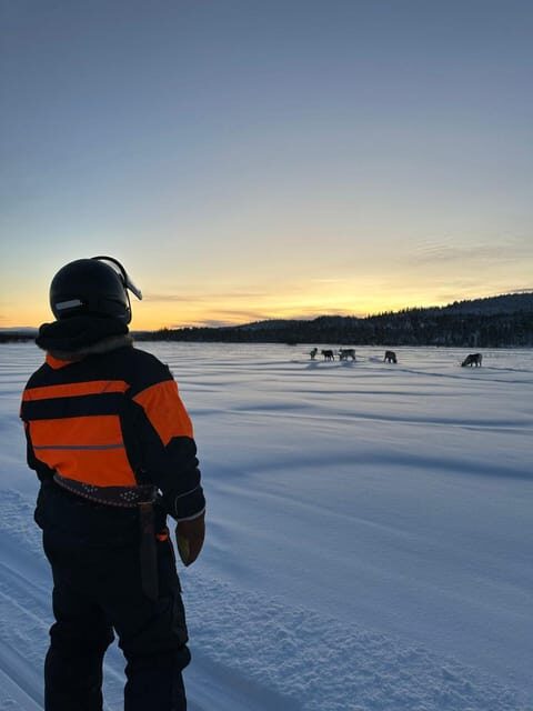 Ivalo: Ice Fishing Tour to Lake Inari, Reindeers & Lunch - FAQ