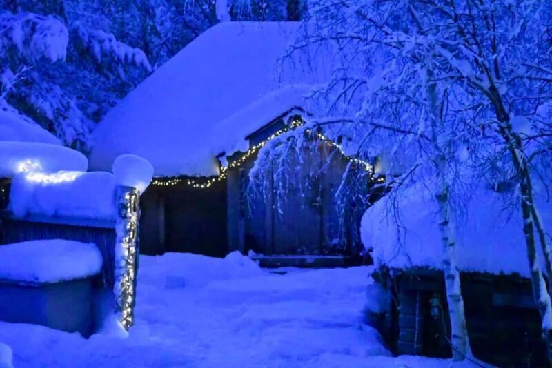 Ivalo: Private Farm Visit & Husky Experience - Authenticity and Overall Experience