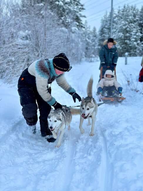 Ivalo: Private Farm Visit & Husky Experience - Who Will Enjoy This Tour?