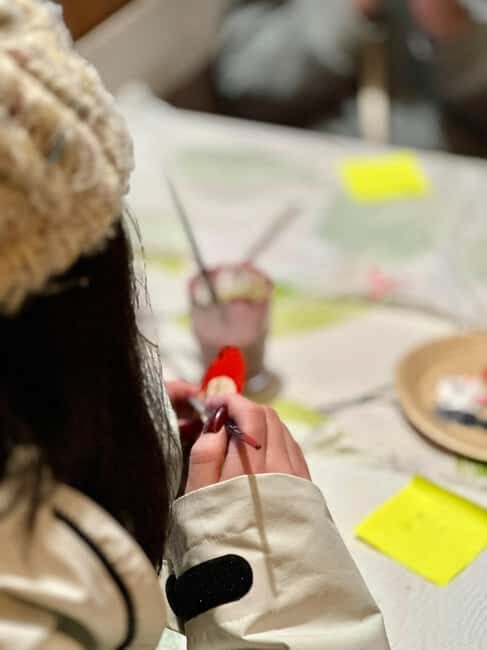 Ivalo: Private Farm Visit & Husky Experience - Final Thoughts