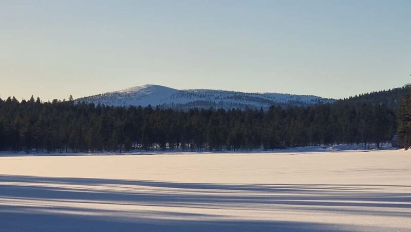 Ivalo: Private Sleighride Tour and Fishing in the Wild - Practical Details and Value