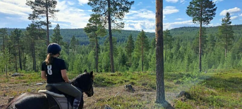 Ivalo - Saariselkä: Horseback Riding Adventures - What is the horseback riding experience like?