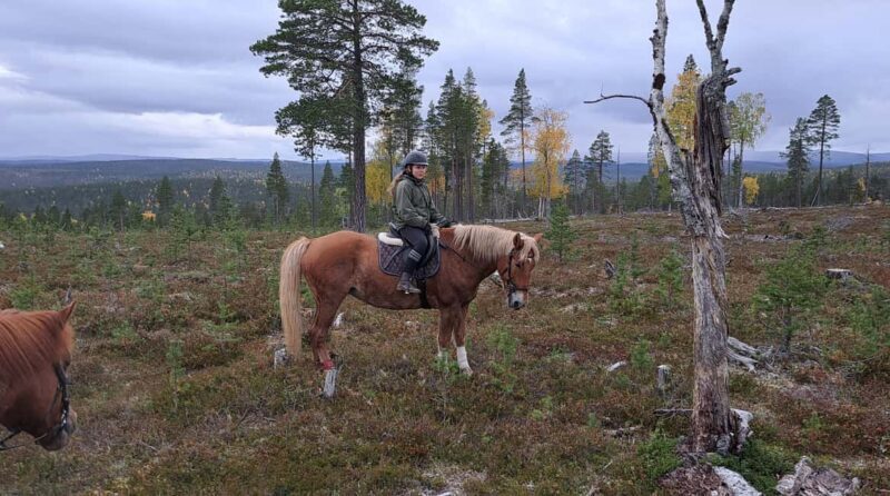Ivalo - Saariselkä: Horseback Riding Adventures - What does the itinerary include?