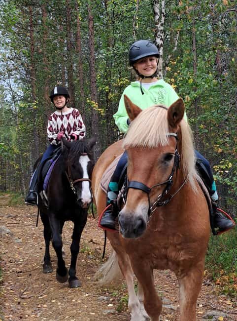 Ivalo - Saariselkä: Horseback Riding Adventures - What are the downsides?