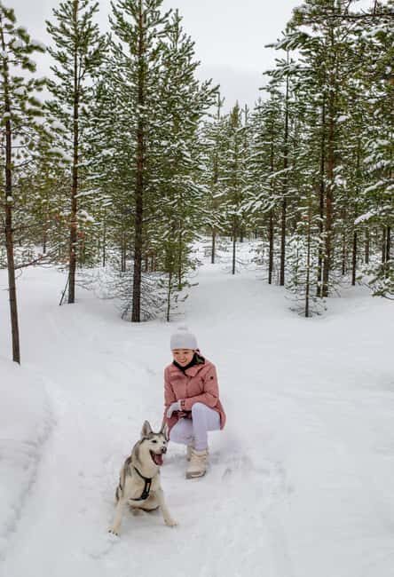 Ivalo - Saariselkä: Husky Walk in the Wilderness - Introducing the Husky Walk in the Wilderness