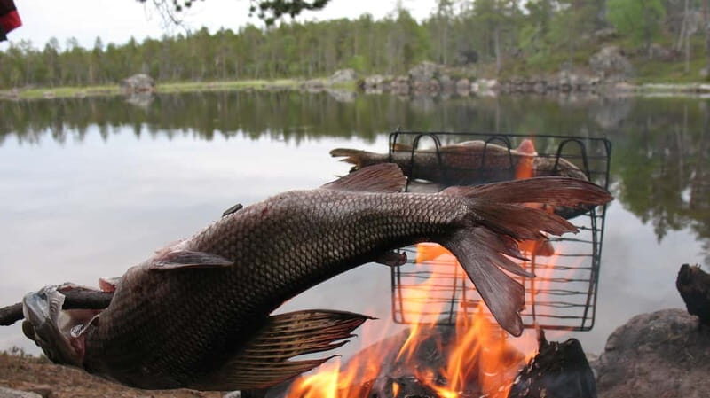 Ivalo: Summer Day/Evening on a Lake in the Wild - Final Thoughts