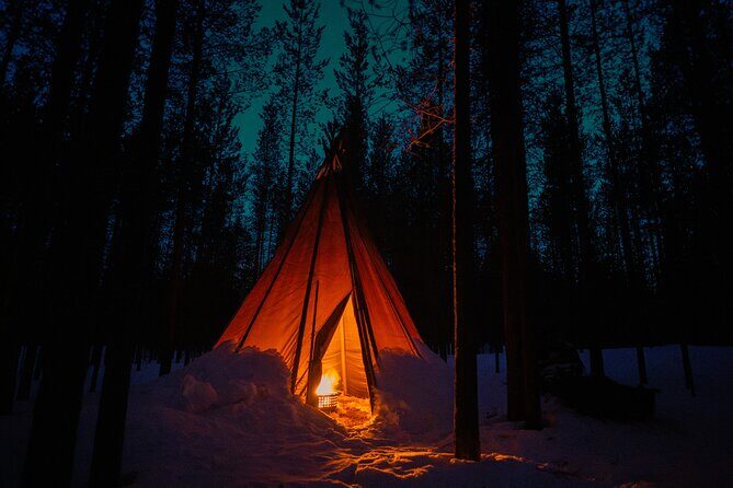 Ivalo: Wilderness Adventure by Snowmobile Sleigh - Key Points