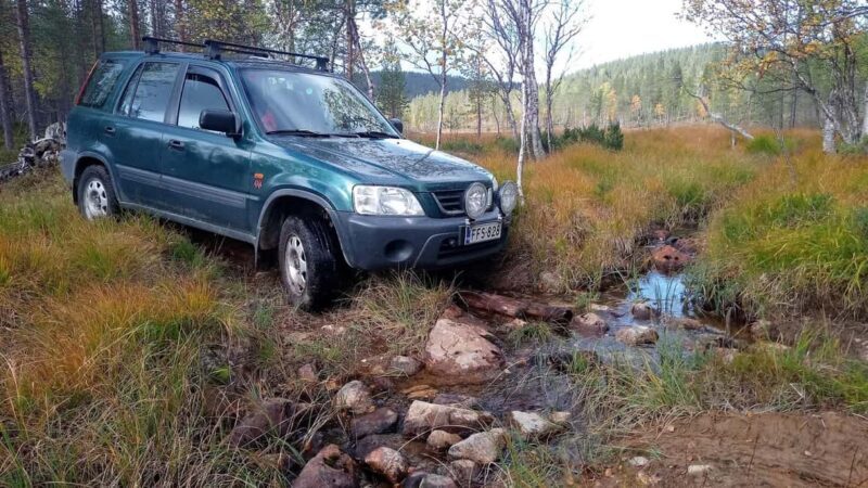 Ivalo: Wilderness Tour with Campfire Lunch - Exploring the Wilderness in Ivalo