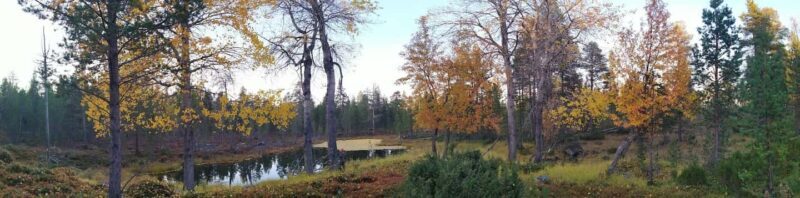 Ivalo: Wilderness Tour with Campfire Lunch - Campfire Lunch in the Lapland Wilderness