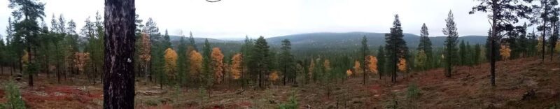 Ivalo: Wilderness Tour with Campfire Lunch - Practical Details and Value