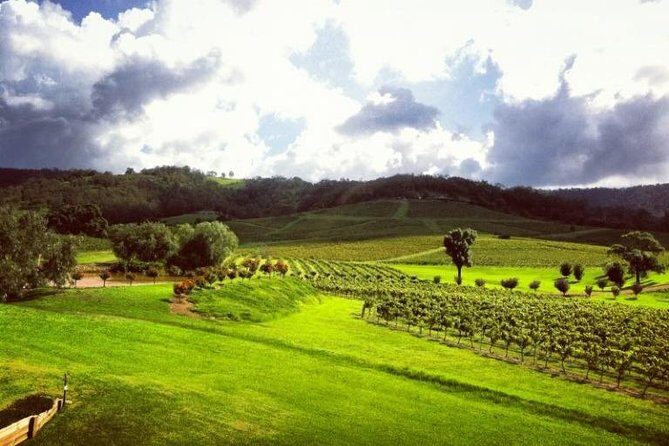 Ivanhoe Wines: Trip Advisor Premium Wine Tasting - Who Should Consider This Tour?
