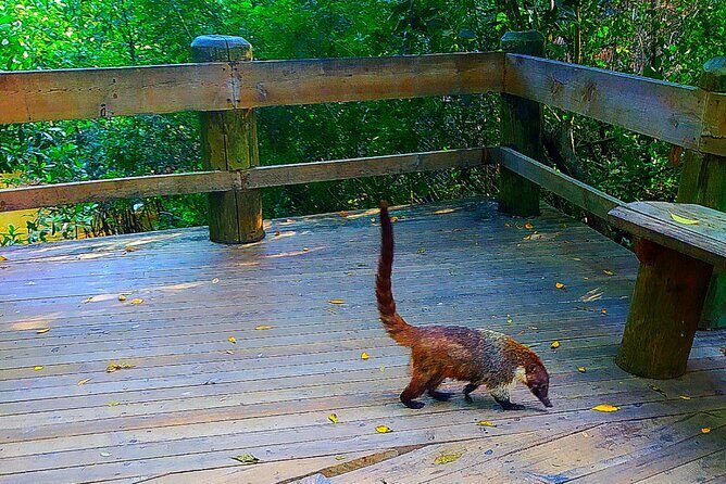 Ixtapa bike tour - Experience Quality: What Travelers Say