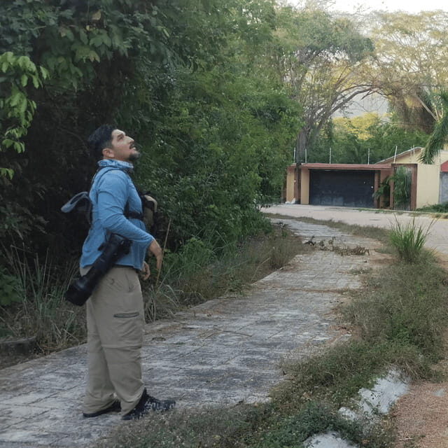 Ixtapa: Bird Watching Tour with Round-Trip Transportation - A Closer Look at the Experience