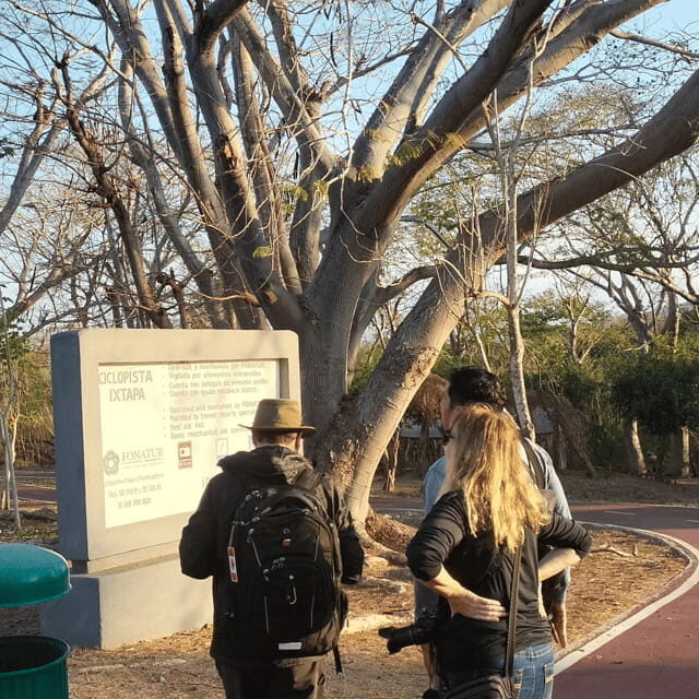 Ixtapa: Bird Watching Tour with Round-Trip Transportation - What the Tour Includes and What It Doesn’t